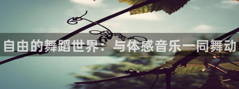 oety欧亿体育官网下载软件:自由的舞蹈世界:与体感音乐一同