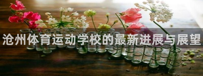 oety欧亿体育官网下载招商电话地址:沧州体育运动学校的最新